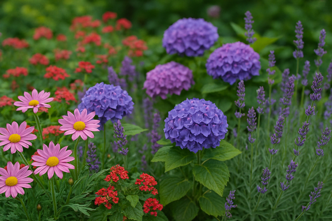 🌸 Flores y Plantas: El Alma Viva de Tu Jardín | Fijalo.com