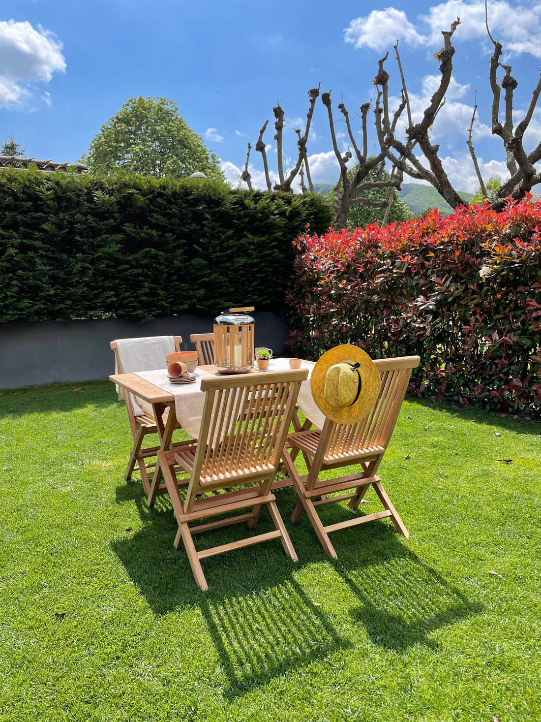 ¡El verano llegó! Disfrútalo al máximo con ideas para tu jardín 🌞🌿