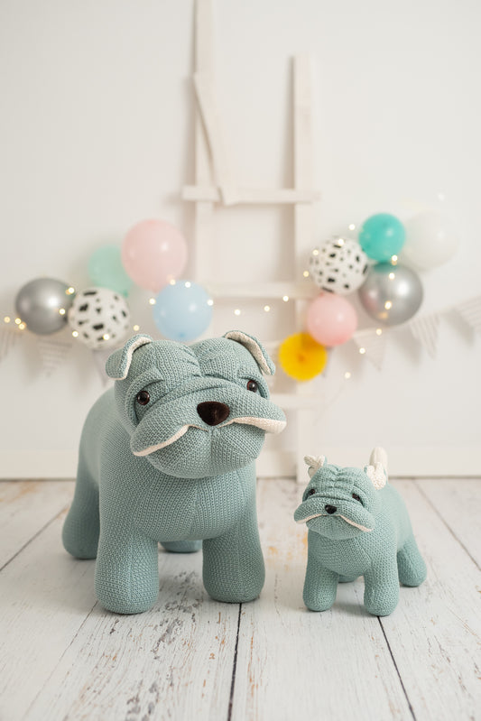 Lámina infantil familia fotografia perro azul verdoso