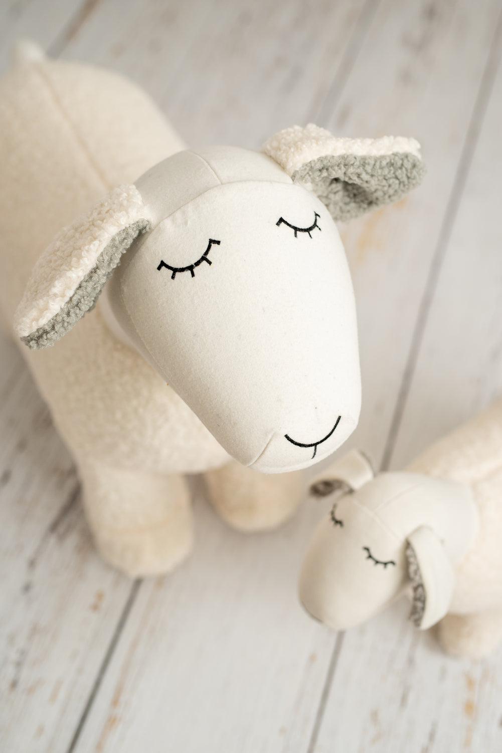 Lámina infantil familia ovejas blancas