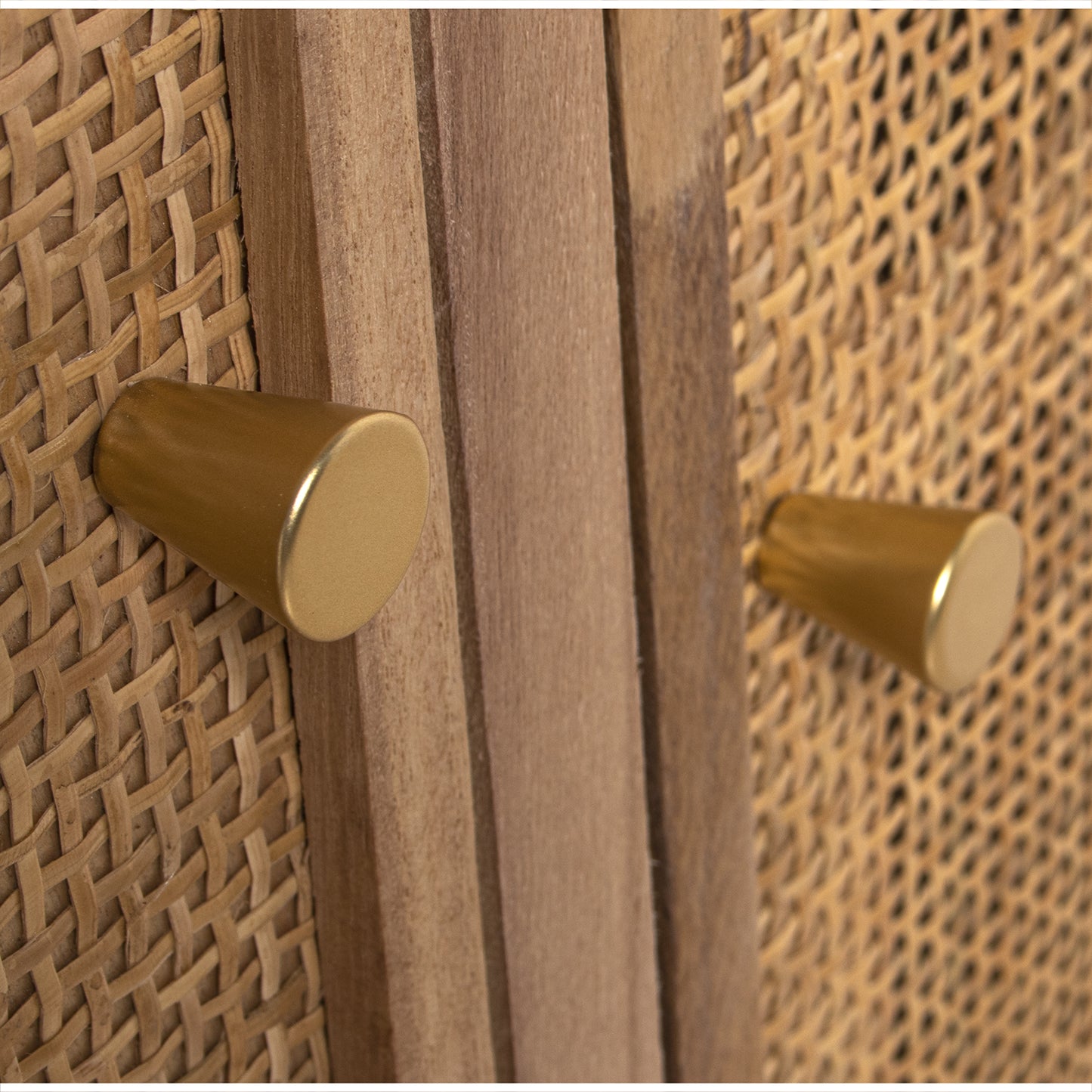 MESA ENTRADA C/2 PUERTAS+ CAJO N RATAN NATURAL: PINO+DM