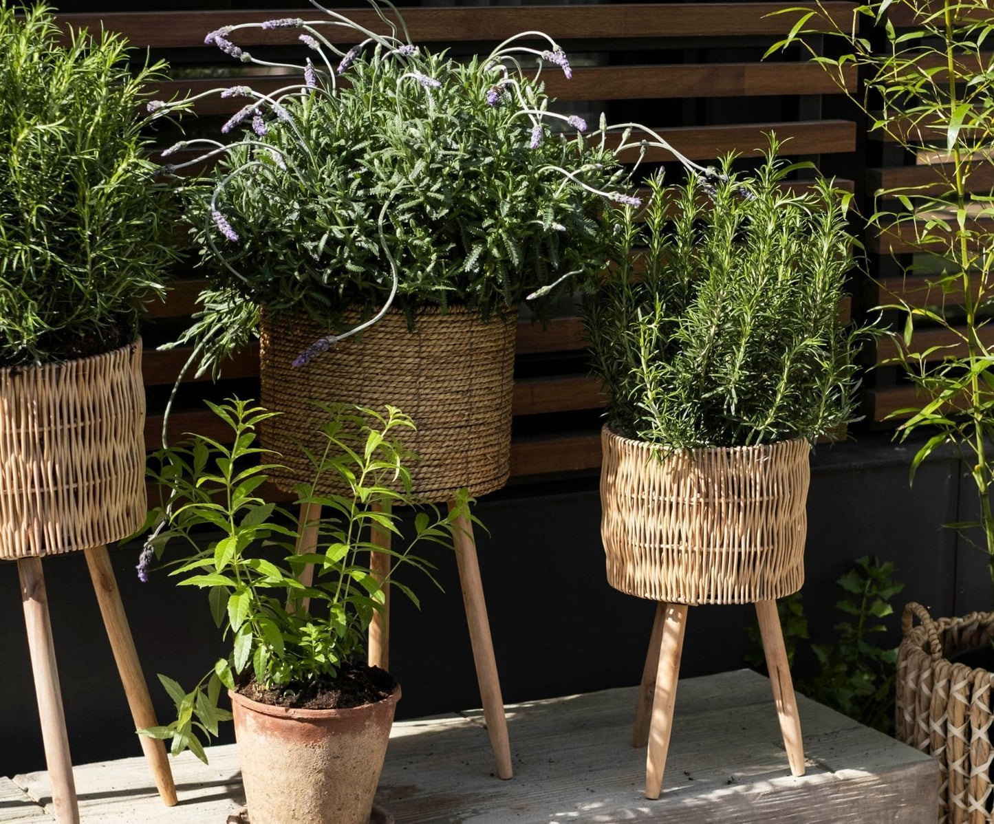 S/2 SOPORTE PLANTERO TOTORA Ø30X58