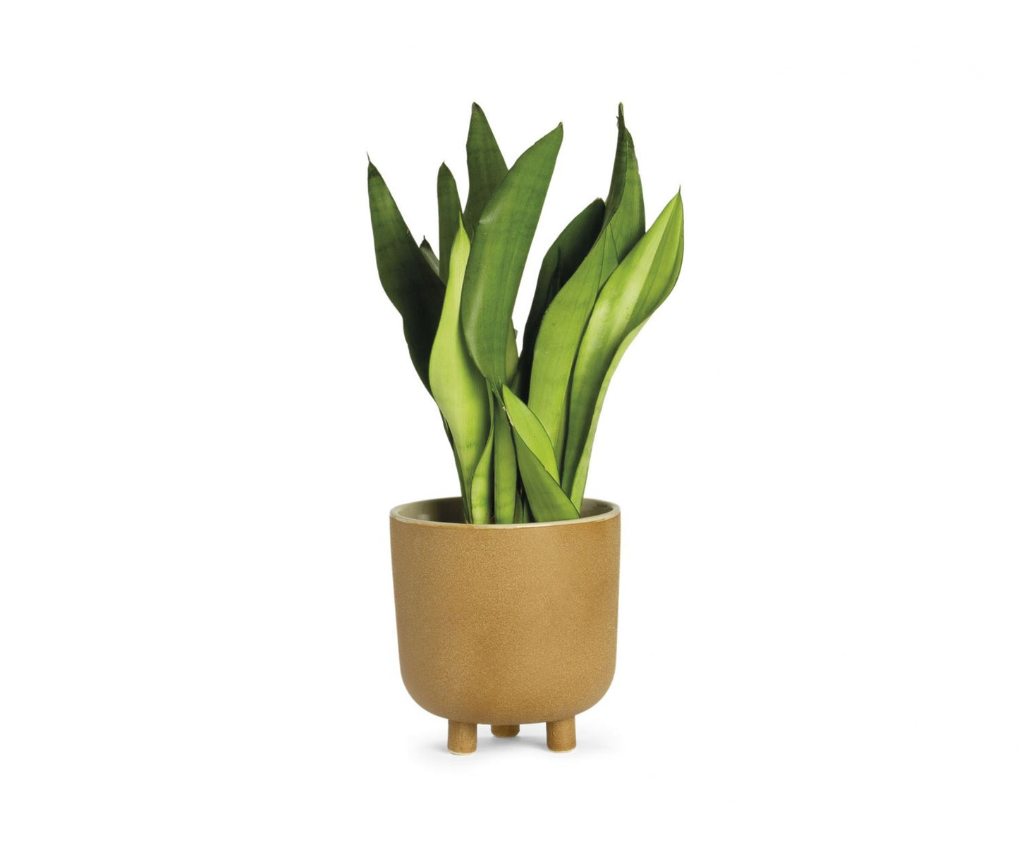 MACETA CERÁMICA BEIGE Ø18X18:5 CM