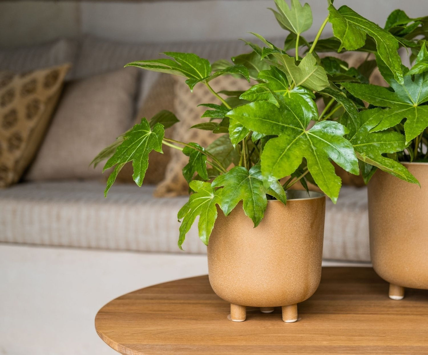 MACETA CERÁMICA BEIGE Ø18X18:5 CM