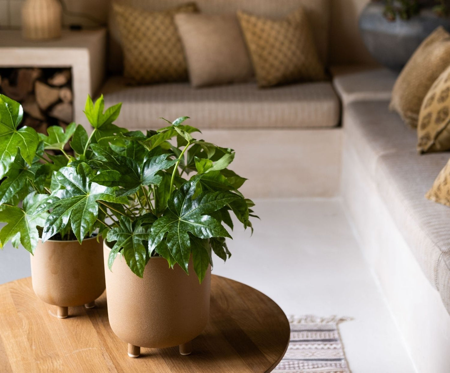 MACETA CERÁMICA BEIGE Ø18X18:5 CM