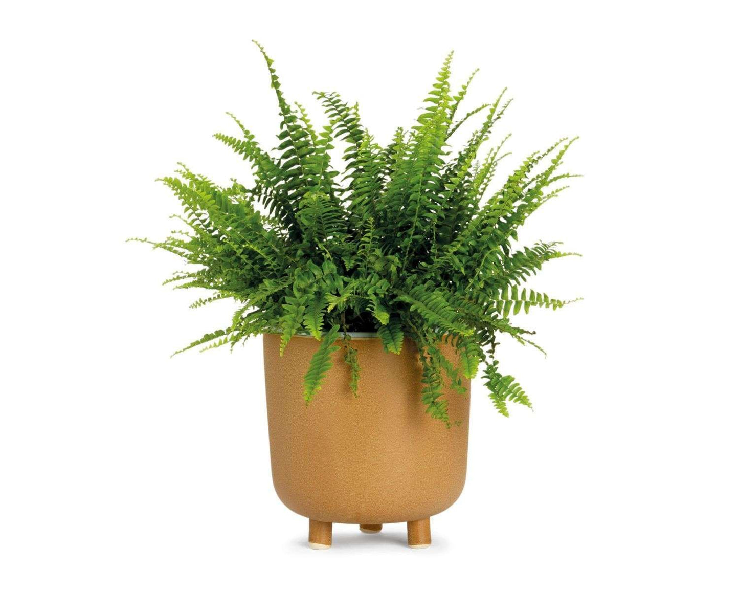 MACETA CERÁMICA BEIGE Ø21:5X23 CM