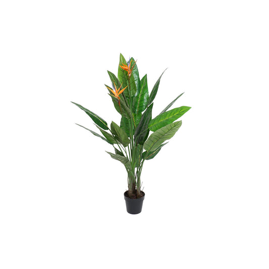 PLANTA PVC 100X100X145 STRELITZIA