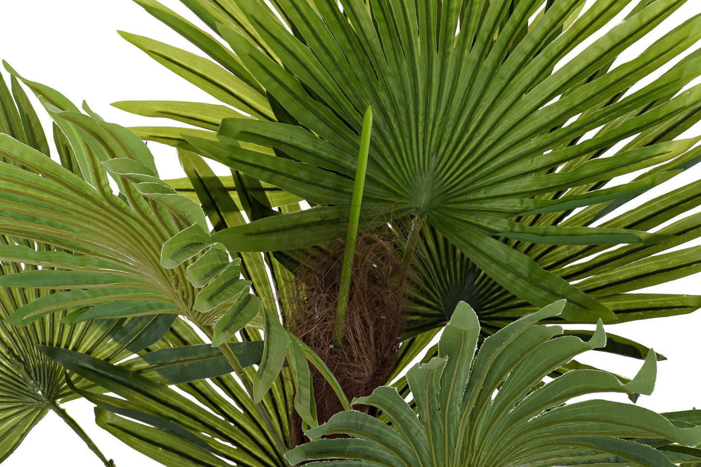 PLANTA PE 40X40X90 PALMERA VERDE