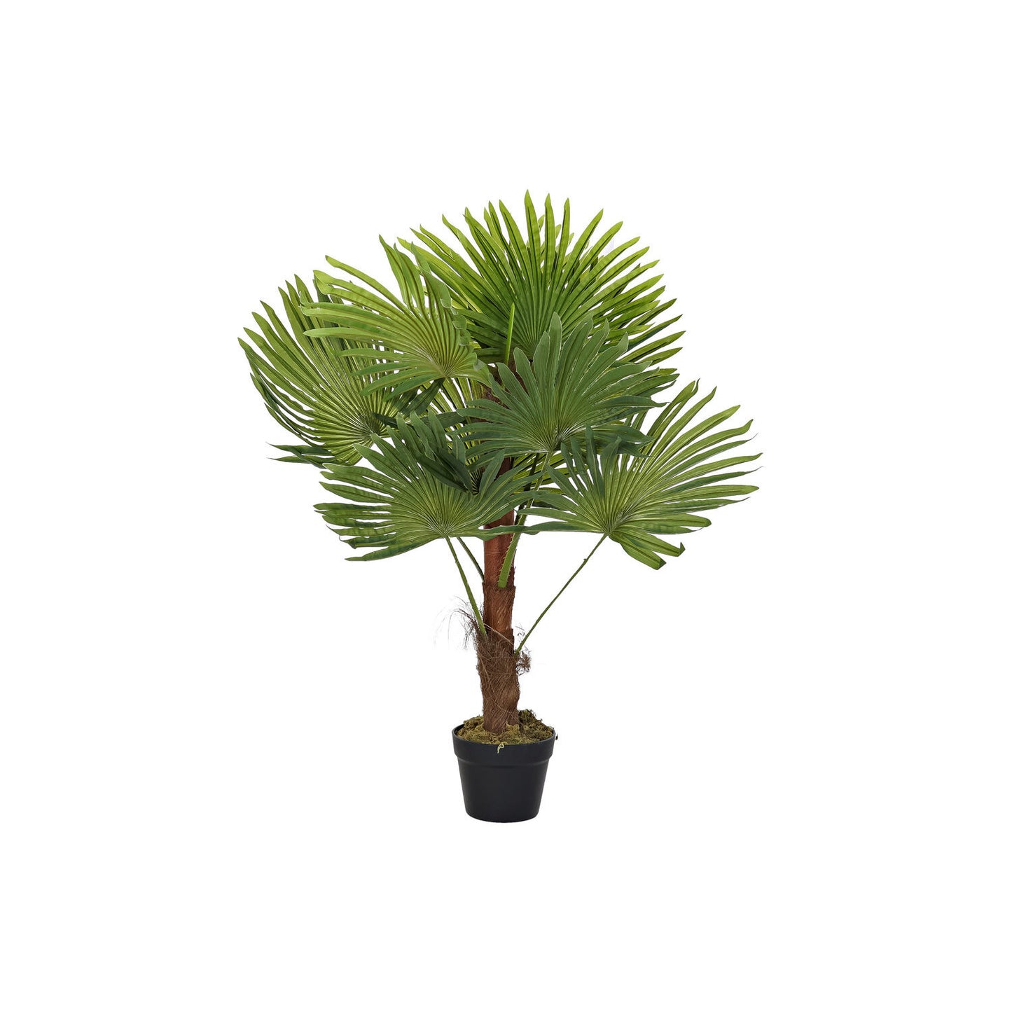 PLANTA PE 40X40X90 PALMERA VERDE