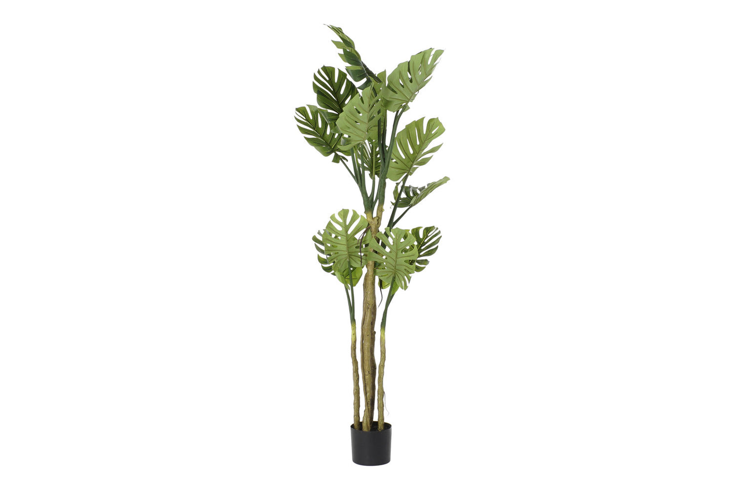 ARBOL POLIESTER PP 75X75X180 MONSTERA VERDE