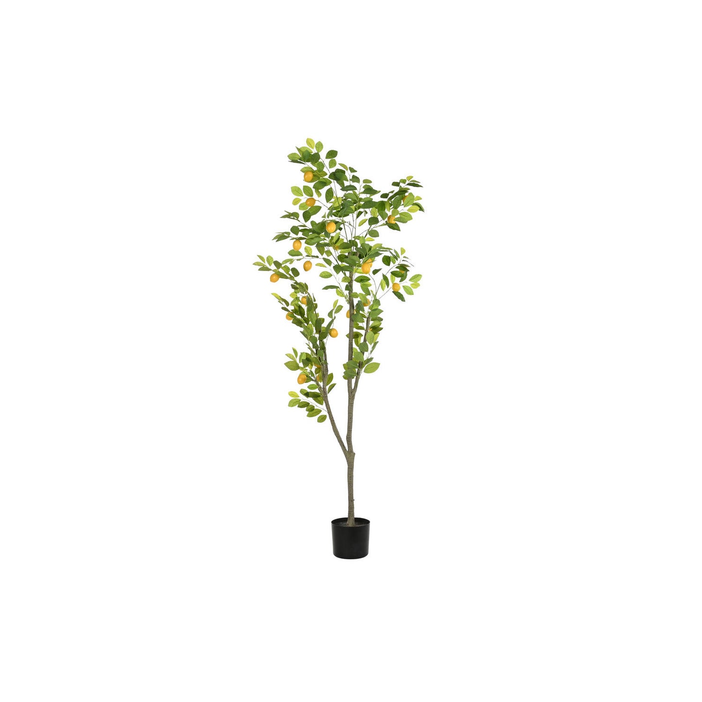 ARBOL POLIESTER PP 90X90X180 LIMONERO VERDE