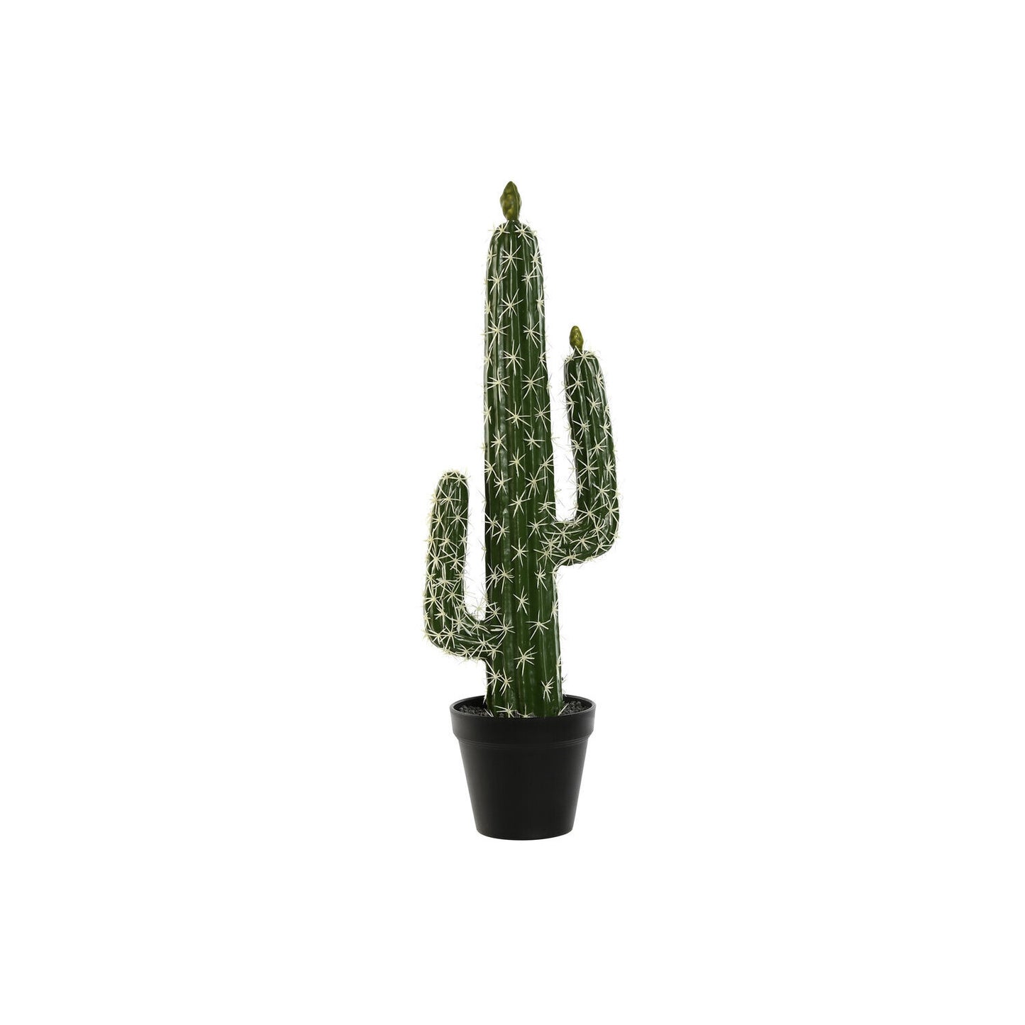 PLANTA FOAM PP 18X12:5X54 CACTUS VERDE