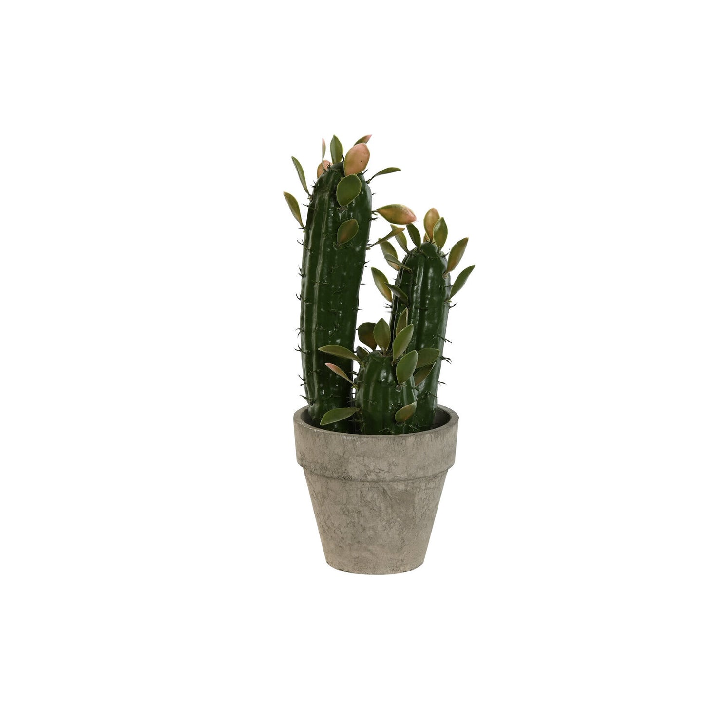 PLANTA FOAM PP 10X12X28 CACTUS VERDE