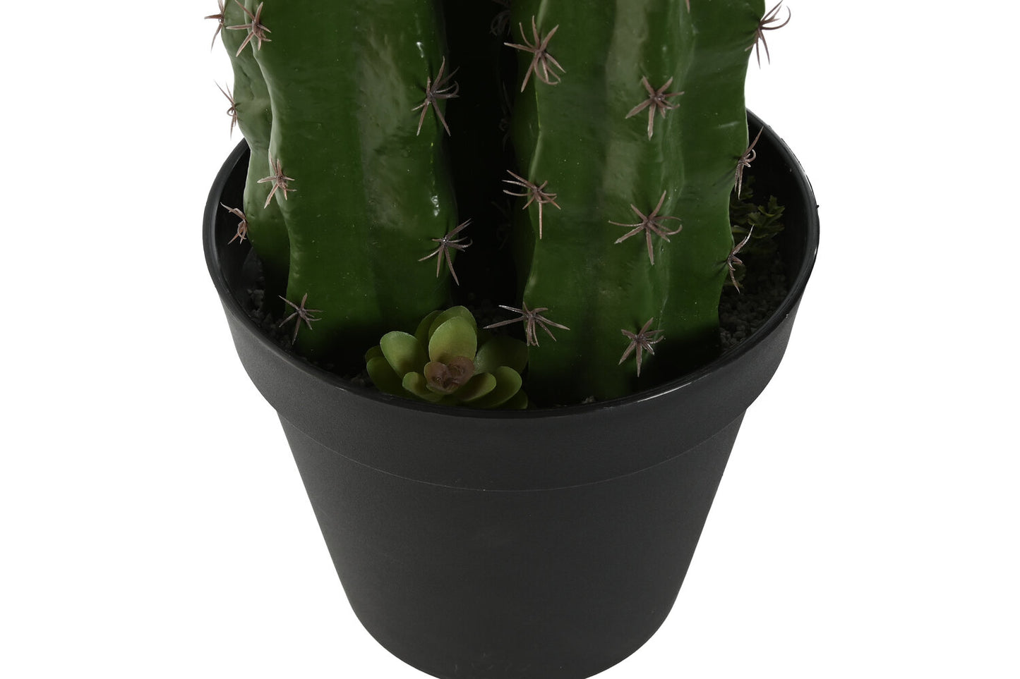 PLANTA FOAM PP 22X22X69 CACTUS VERDE